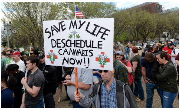 Photo by Mike Theiler/AFP Here, holding a sign in front of the White House on April 2, Charles Schatz of Bel Air, Md., joins dozens of demonstrators, demanding the use of marijuana for medical cases.